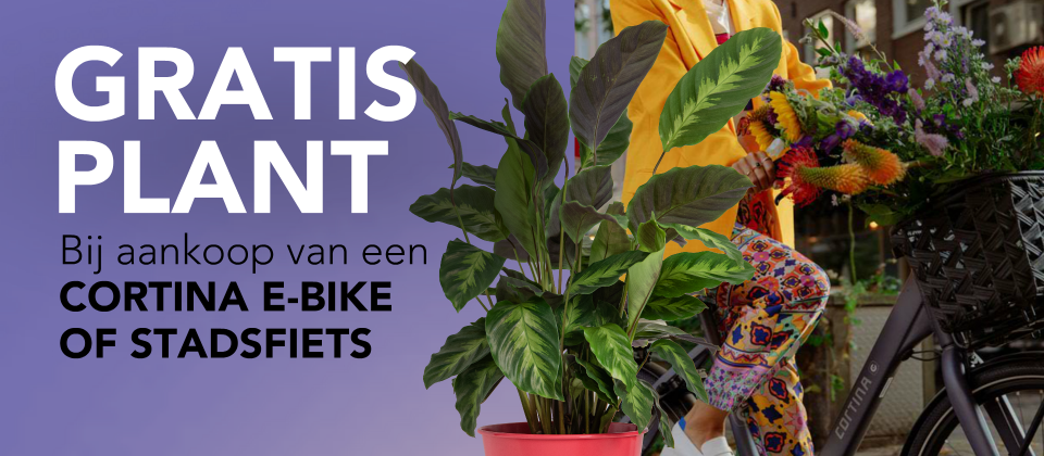 Cortina plant twee bomen voor elke verkochte Cortina e-bike of stadsfiets en zelf ontvang je een gratis plant! Hoe leuk is dat?